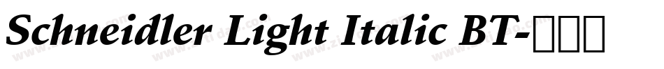 Schneidler Light Italic BT字体转换